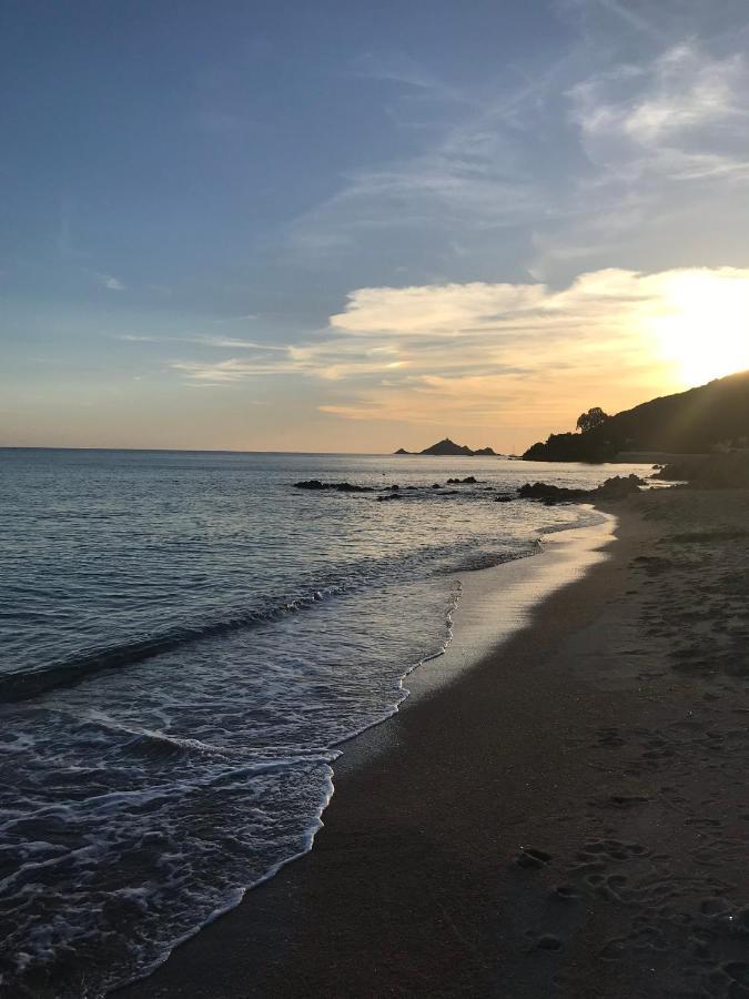 Magnifique Villa Recente Entre Mer Et Montagne Situee Entre Ajaccio Et Porticcio Cauro 외부 사진