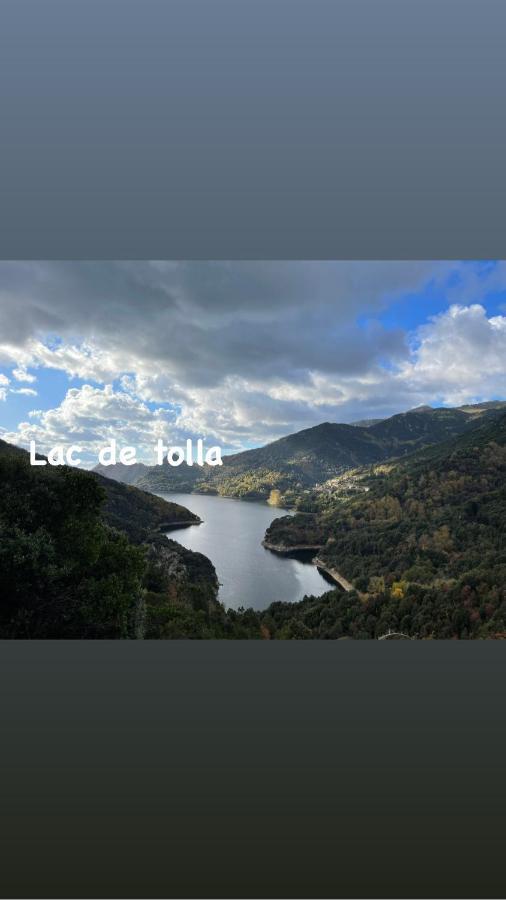 Magnifique Villa Recente Entre Mer Et Montagne Situee Entre Ajaccio Et Porticcio Cauro 외부 사진